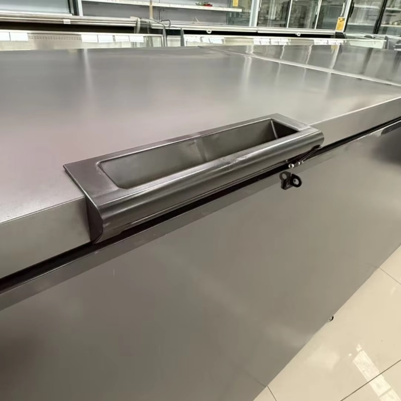 業務用ダブルドア式水平型大型冷凍庫。家庭用およびスーパーマー - Commercial Chest Freezer のレビューと価格